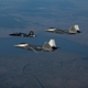 Illustration for article titled Play Fight: Lightning II, Raptor, Rafale, and Typhoon Compete For An Atlantic Trident